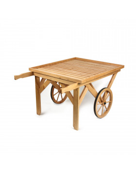 Mobile Flat Top Display Cart